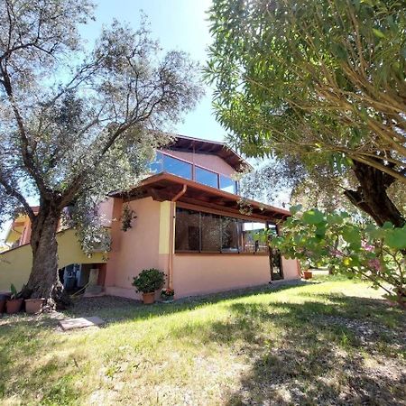 Апартаменты Casa L' Antico Ulivo Иглесиас Экстерьер фото