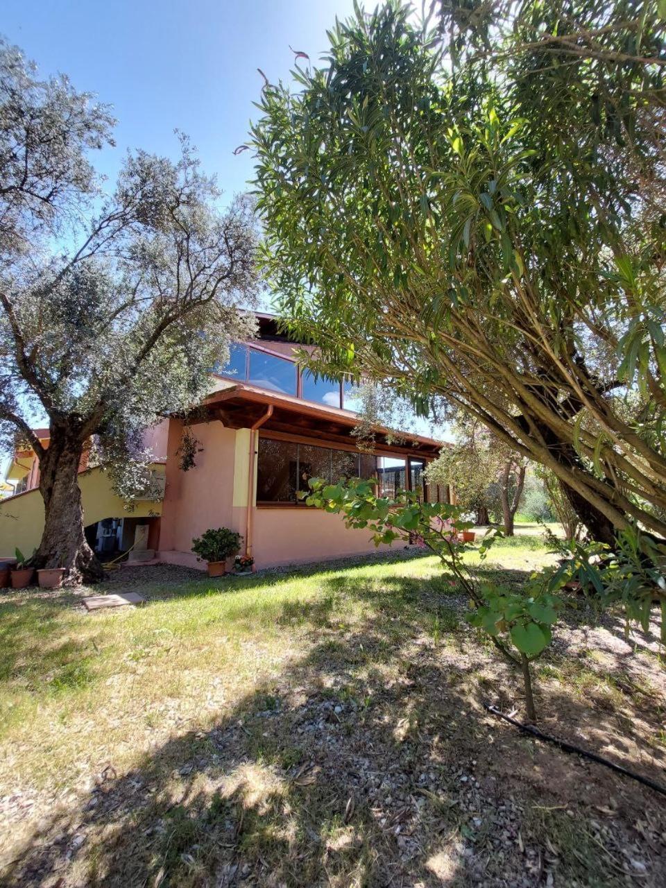 Апартаменты Casa L' Antico Ulivo Иглесиас Экстерьер фото
